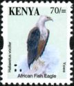 African Fish Eagle (Haliaeetus vocifer)